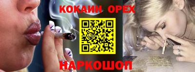 шишки Будённовск