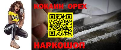 шишки Будённовск
