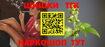 шишки Будённовск