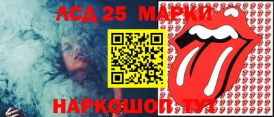 шишки Будённовск