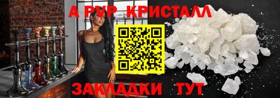 шишки Будённовск