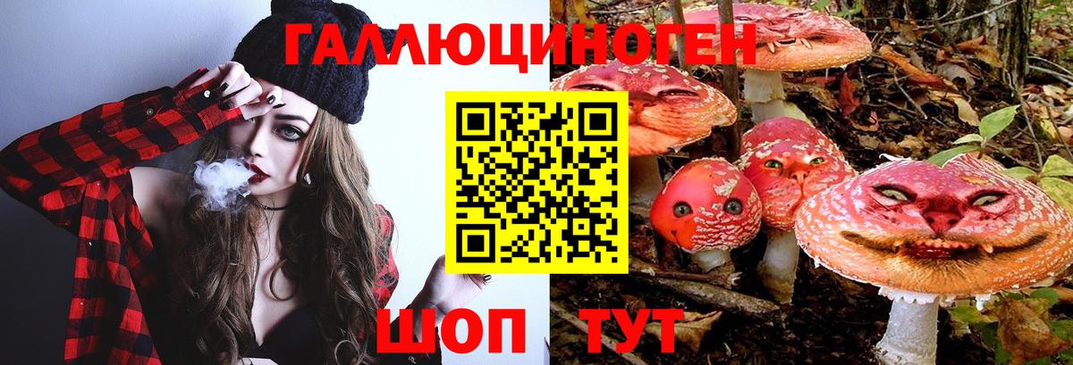 Галлюциногенные грибы мухоморы Майкоп